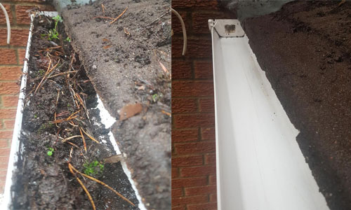 gutter leaf removal